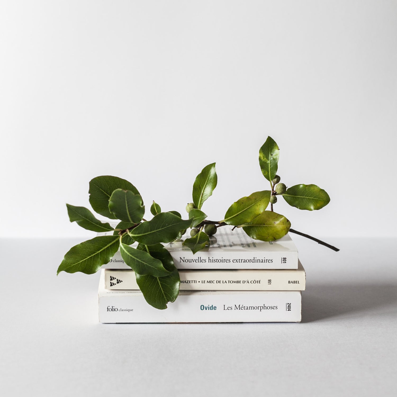 Eco-Friendly Home: Tips for Creating a Sustainable Living Space.